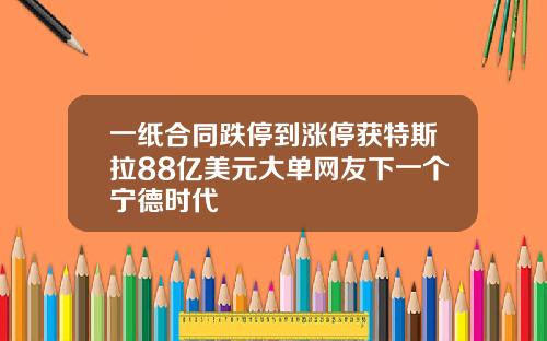 一纸合同跌停到涨停获特斯拉88亿美元大单网友下一个宁德时代