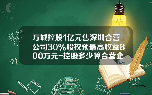 万城控股1亿元售深圳合营公司30%股权预最高收益800万元-控股多少算合营企业