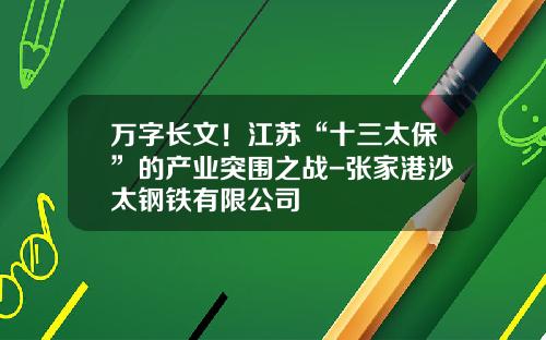 万字长文！江苏“十三太保”的产业突围之战-张家港沙太钢铁有限公司