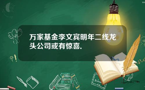 万家基金李文宾明年二线龙头公司或有惊喜.