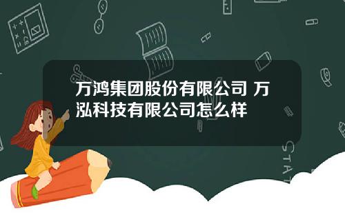 万鸿集团股份有限公司 万泓科技有限公司怎么样