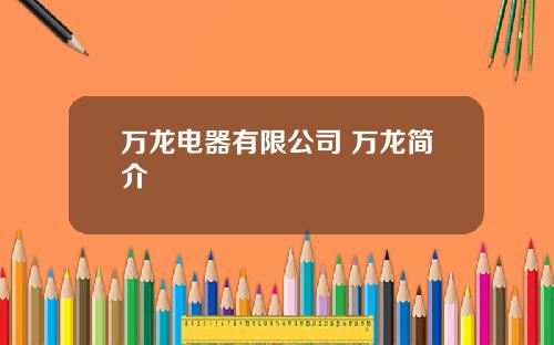 万龙电器有限公司 万龙简介