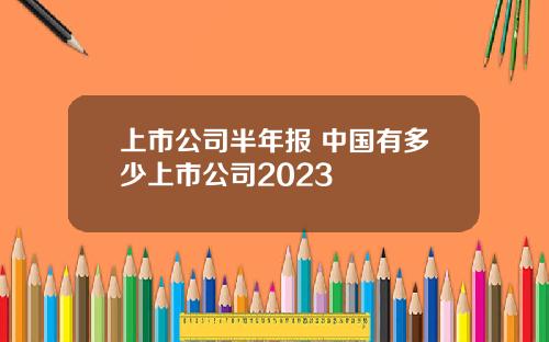 上市公司半年报 中国有多少上市公司2023