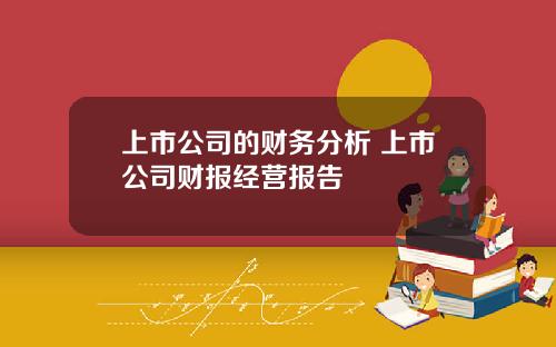 上市公司的财务分析 上市公司财报经营报告