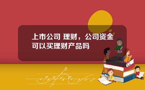 上市公司 理财，公司资金可以买理财产品吗