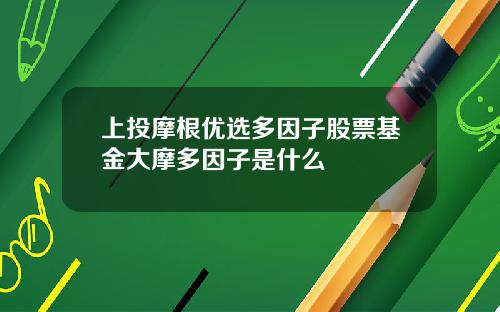 上投摩根优选多因子股票基金大摩多因子是什么