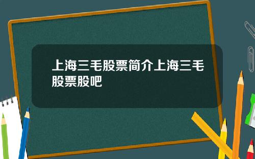 上海三毛股票简介上海三毛股票股吧