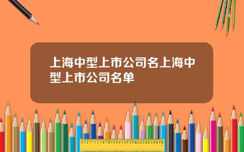 上海中型上市公司名上海中型上市公司名单