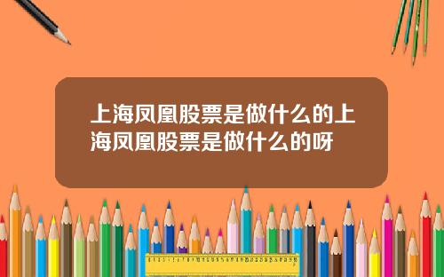 上海凤凰股票是做什么的上海凤凰股票是做什么的呀