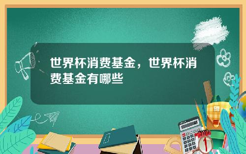 世界杯消费基金，世界杯消费基金有哪些