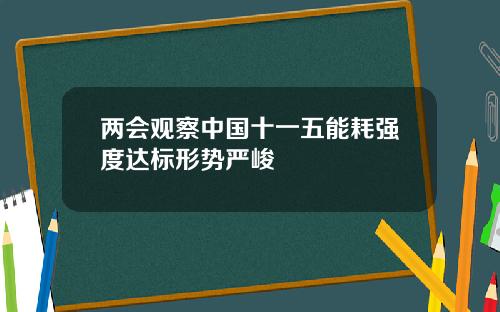 两会观察中国十一五能耗强度达标形势严峻