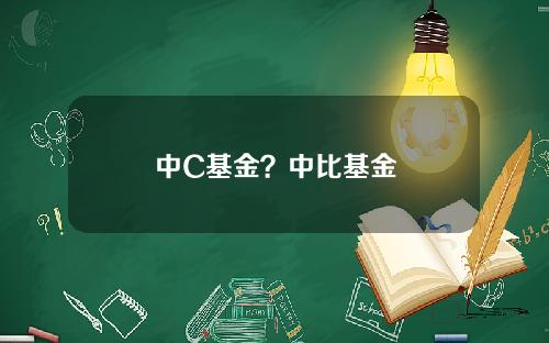 中C基金？中比基金