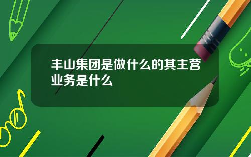 丰山集团是做什么的其主营业务是什么