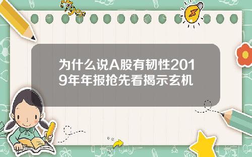 为什么说A股有韧性2019年年报抢先看揭示玄机