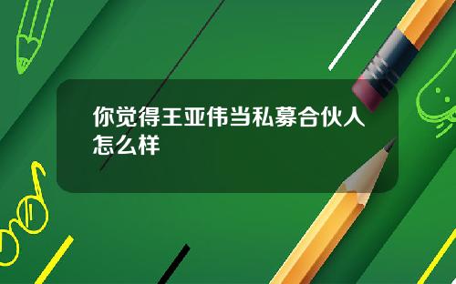 你觉得王亚伟当私募合伙人怎么样