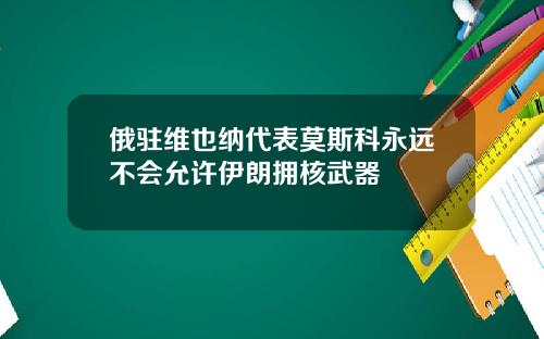 俄驻维也纳代表莫斯科永远不会允许伊朗拥核武器