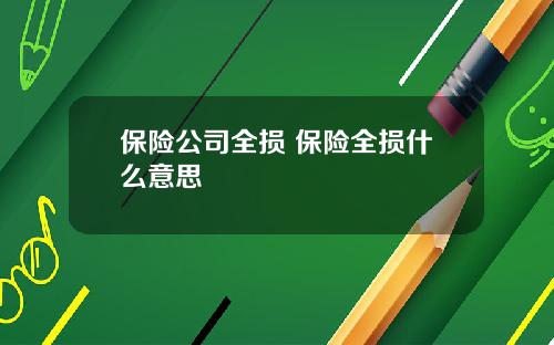 保险公司全损 保险全损什么意思