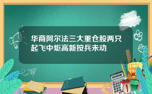 华商阿尔法三大重仓股两只起飞中炬高新按兵未动