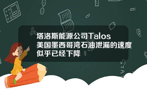 塔洛斯能源公司Talos美国墨西哥湾石油泄漏的速度似乎已经下降