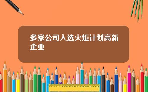 多家公司入选火炬计划高新企业