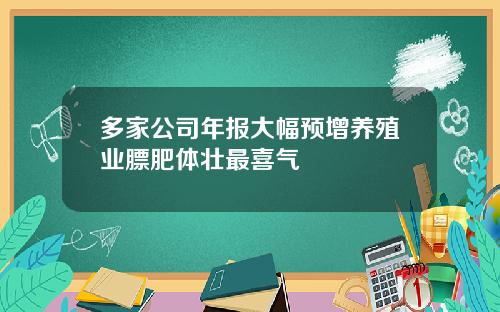 多家公司年报大幅预增养殖业膘肥体壮最喜气