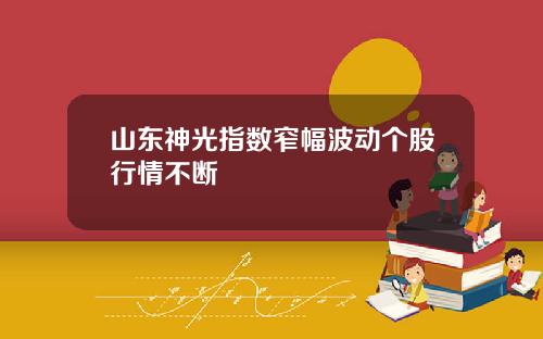 山东神光指数窄幅波动个股行情不断