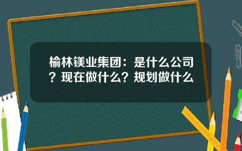 榆林镁业集团：是什么公司？现在做什么？规划做什么