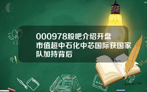 000978股吧介绍开盘市值超中石化中芯国际获国家队加持背后