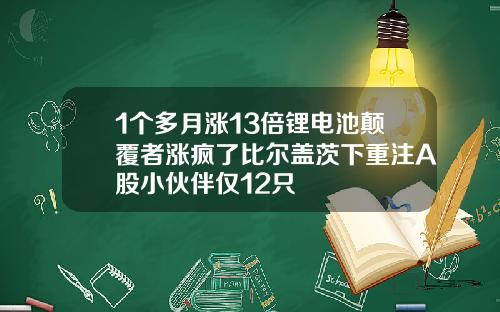 1个多月涨13倍锂电池颠覆者涨疯了比尔盖茨下重注A股小伙伴仅12只