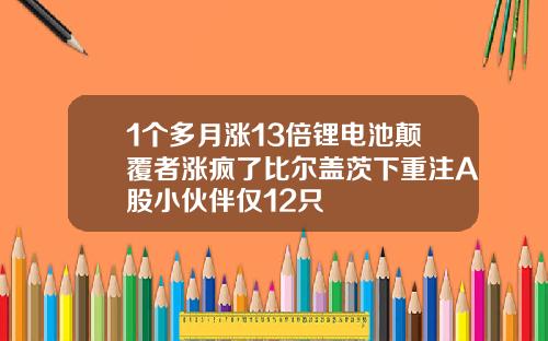 1个多月涨13倍锂电池颠覆者涨疯了比尔盖茨下重注A股小伙伴仅12只