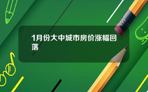 1月份大中城市房价涨幅回落