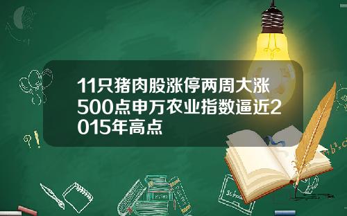 11只猪肉股涨停两周大涨500点申万农业指数逼近2015年高点