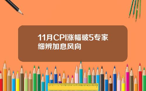 11月CPI涨幅破5专家细辨加息风向