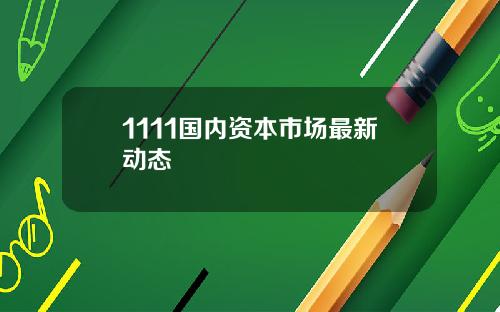 1111国内资本市场最新动态