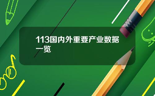 113国内外重要产业数据一览