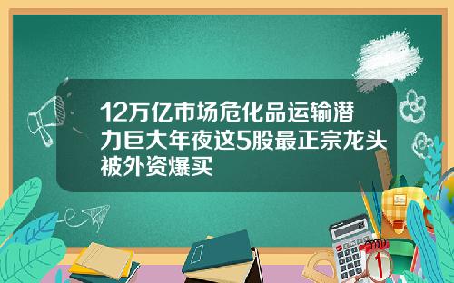 12万亿市场危化品运输潜力巨大年夜这5股最正宗龙头被外资爆买