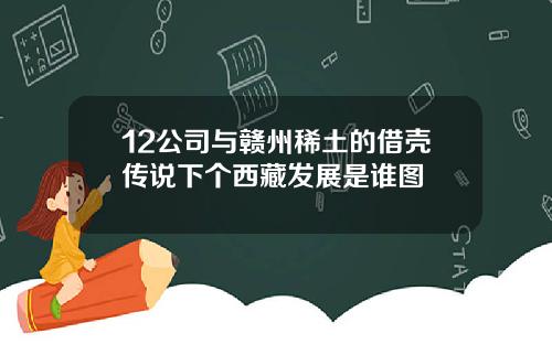 12公司与赣州稀土的借壳传说下个西藏发展是谁图