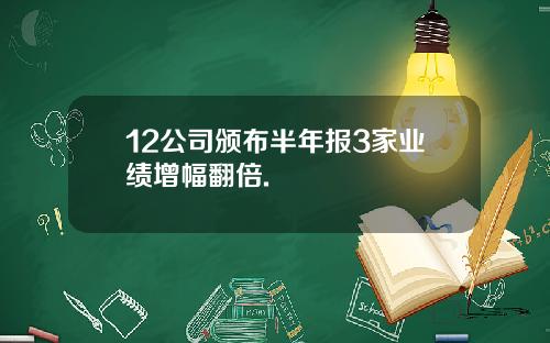 12公司颁布半年报3家业绩增幅翻倍.