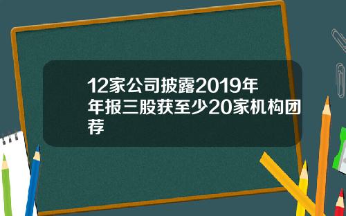 12家公司披露2019年年报三股获至少20家机构团荐