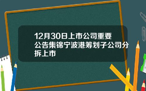 12月30日上市公司重要公告集锦宁波港筹划子公司分拆上市