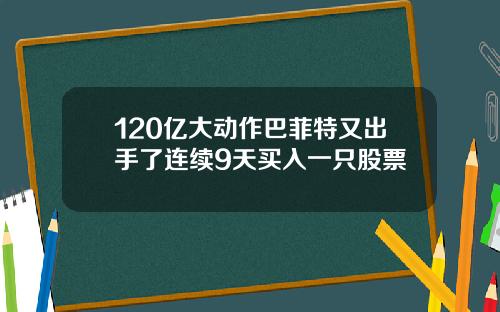 120亿大动作巴菲特又出手了连续9天买入一只股票