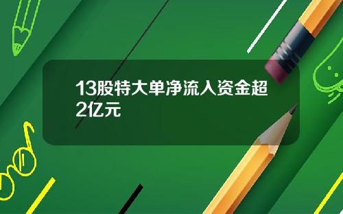 13股特大单净流入资金超2亿元