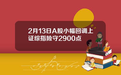 2月13日A股小幅回调上证综指险守2900点