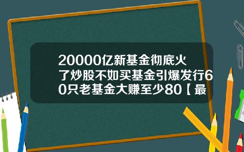 20000亿新基金彻底火了炒股不如买基金引爆发行60只老基金大赚至少80【最新】