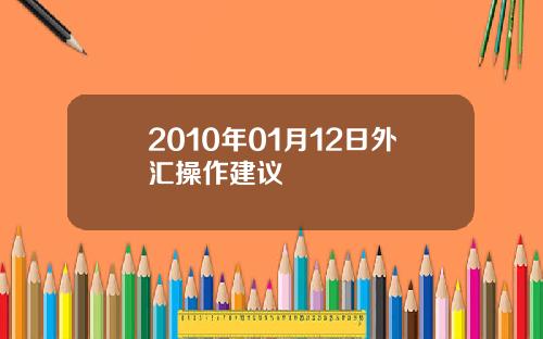 2010年01月12日外汇操作建议