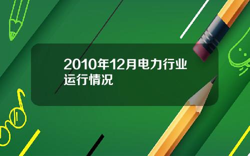 2010年12月电力行业运行情况