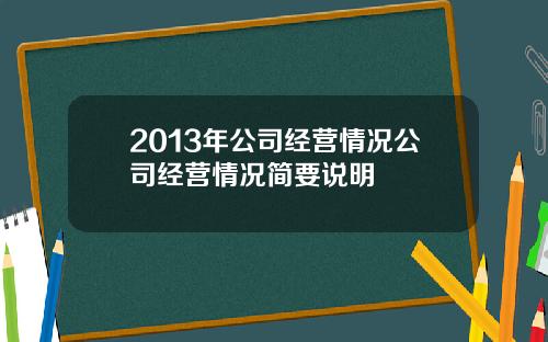 2013年公司经营情况公司经营情况简要说明