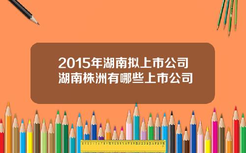 2015年湖南拟上市公司湖南株洲有哪些上市公司