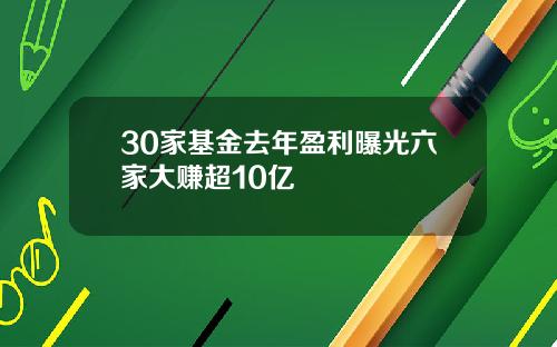 30家基金去年盈利曝光六家大赚超10亿