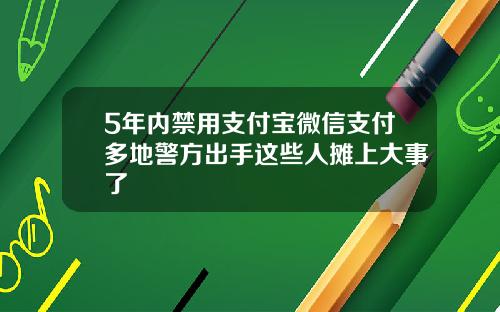 5年内禁用支付宝微信支付多地警方出手这些人摊上大事了